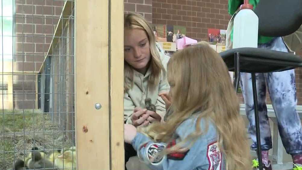 Iowa State Fair sees visitors all the way from London