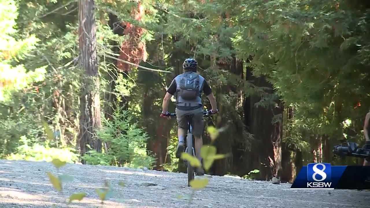 Popular Santa Cruz County state forest reopened