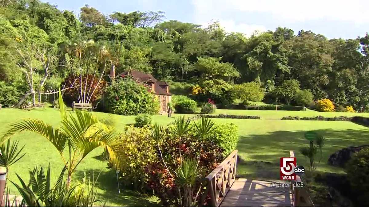 The influential history of Martinique