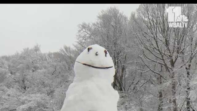 See a pretty look at the snow across Baltimore - Vimarsana News
