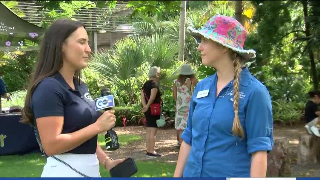 隣人はナポリの植物園で「熱帯を味わっている」