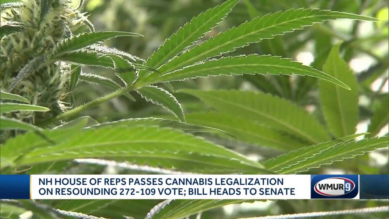 New Hampshire Marijuana Legalization Bill: What's Next