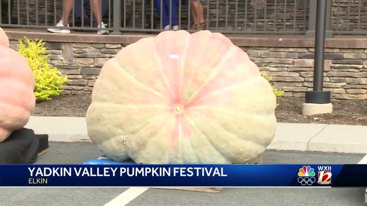 Yadkin Valley Pumpkin Festival