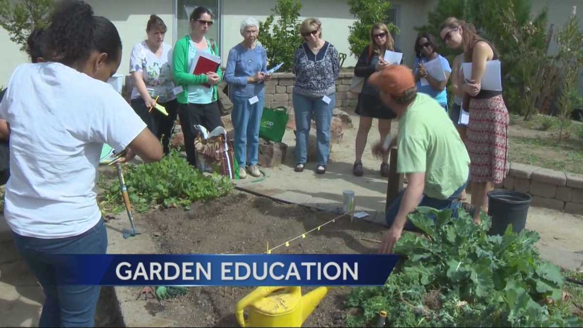 Gardening used as an educational tool at schools