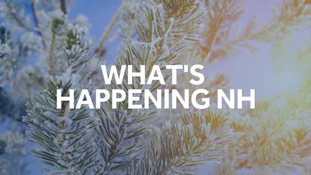New Hampshire things to do this weekend: Feb. 11-12, 2023 - Vimarsana News
