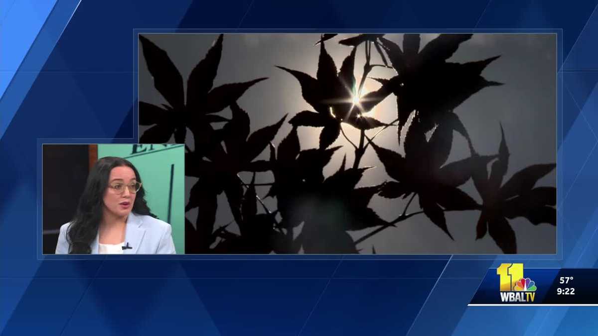 BGE's advice for saving money on your energy bill during seasonal spikes