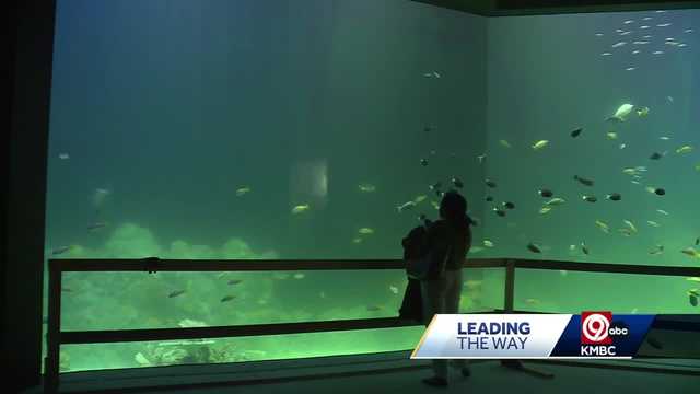 KC Zoo unveils name of its new aquarium at sneak preview event - Vimarsana News