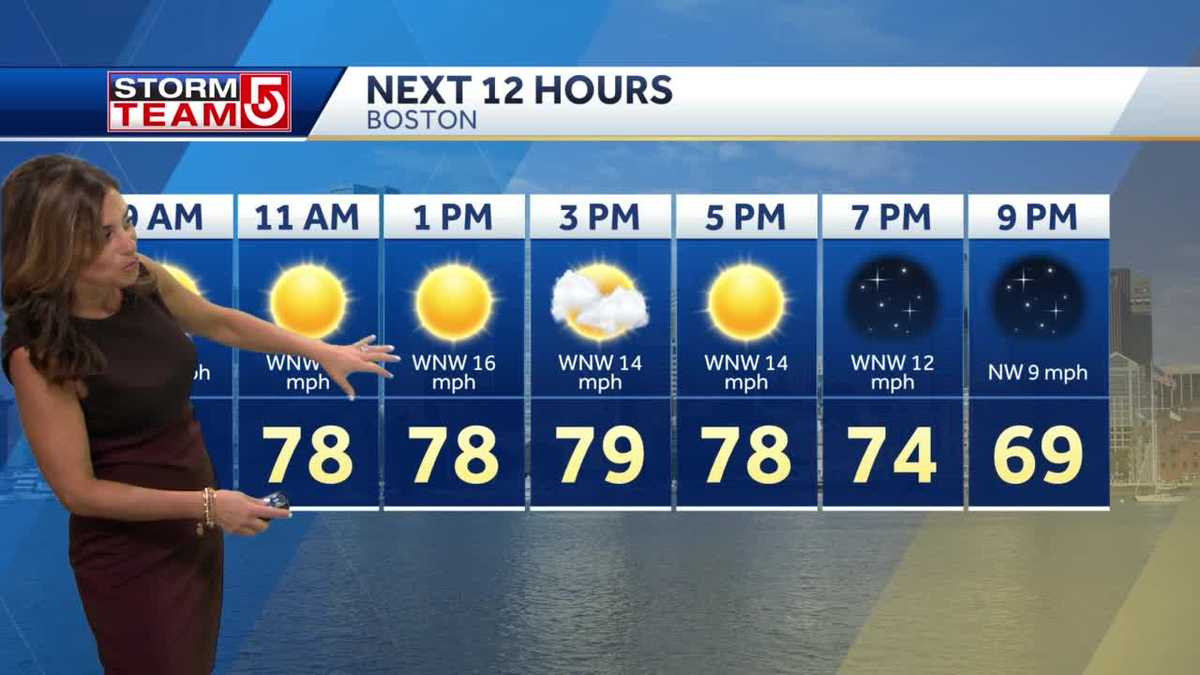 Video: Sunny day with low humidity