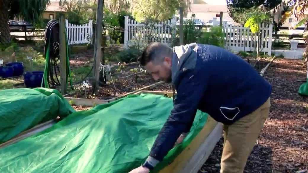 How to protect your plants during the Central Florida freeze