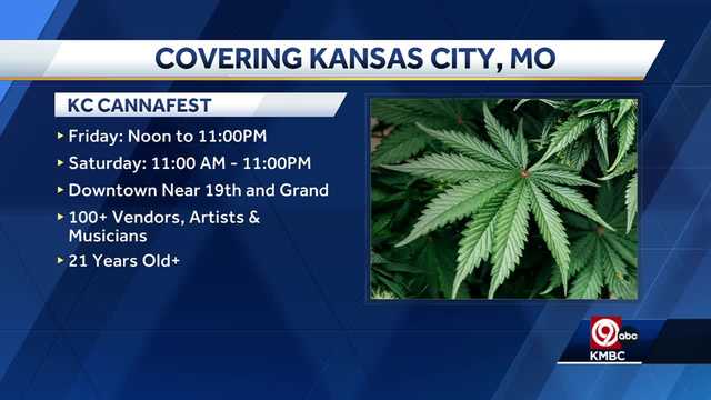 Cannafest returns for third year in the Crossroads District - Vimarsana News