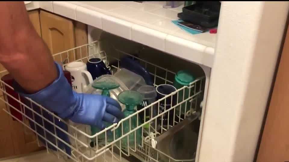 How dirty is your dishwasher?