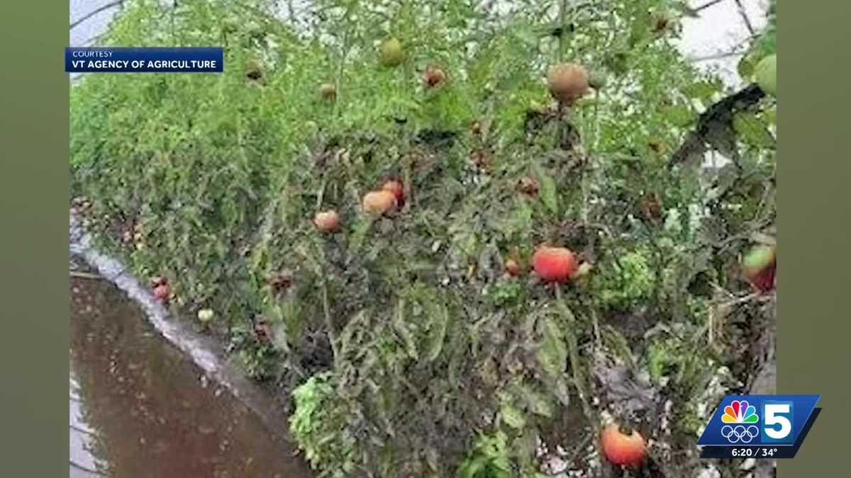 Federal aid still available to farmers impacted by 2023, 24 floods