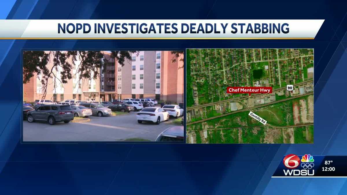 New Orleans police investigate deadly stabbing