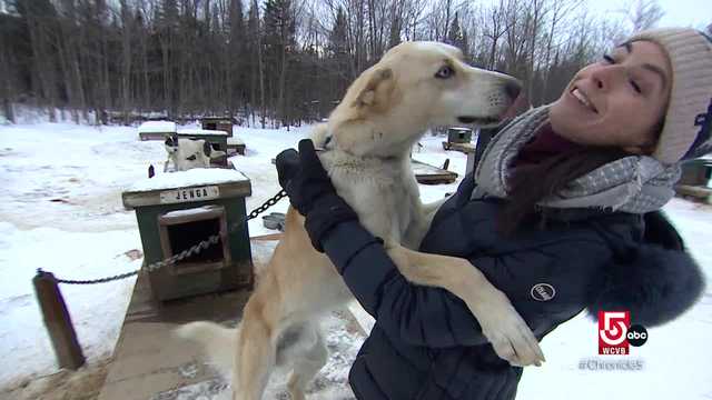 These adventurous dogs thrive in the winter - Vimarsana News