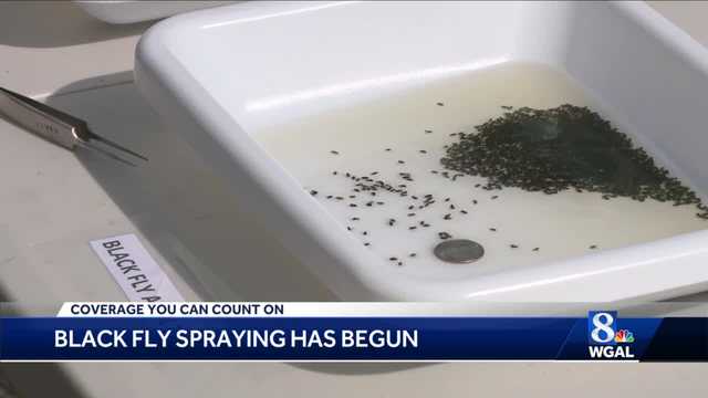 Black fly spraying begins in Pennsylvania - Vimarsana News