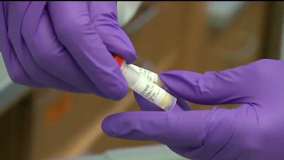 More cases of new COVID19 variant found in New Mexico