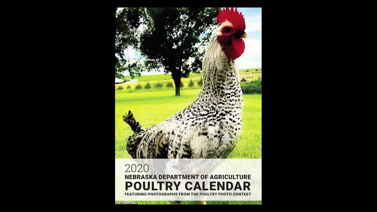 Nebraska Department of Agriculture releases 2020 poultry calendar