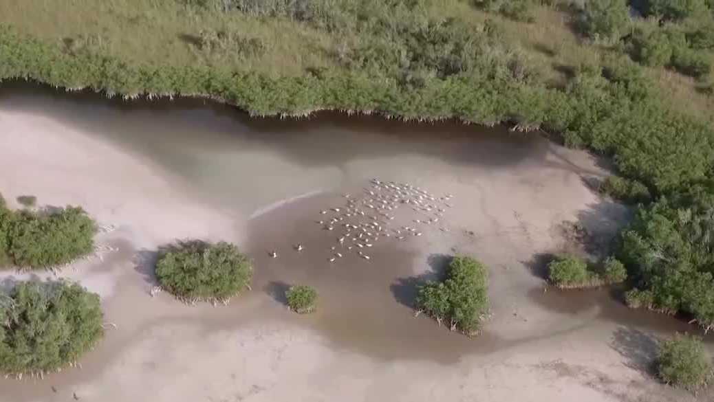 New Florida bill signed to increase transparency on conservation land deals