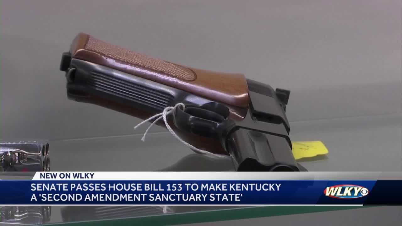 Senate Passes Bill That Would Make Kentucky 'Second Amendment Sanctuary ...