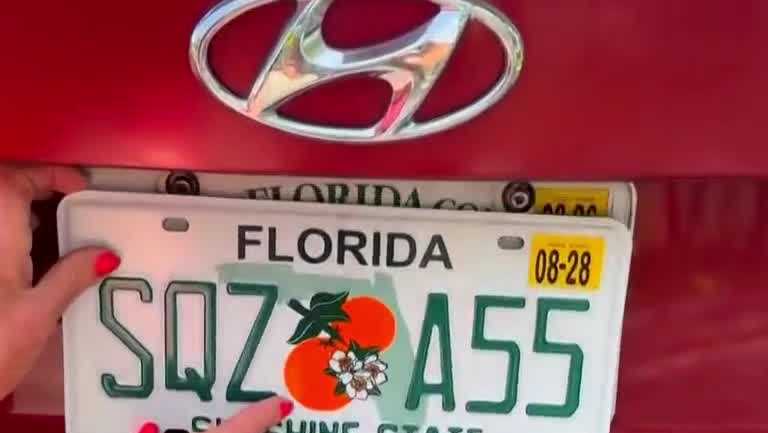 Florida woman receives unfortunate new license plate