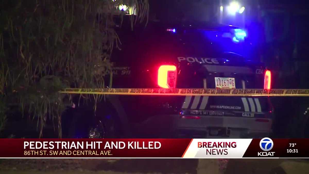 Crash kills pedestrian at Central Avenue and 86th Street