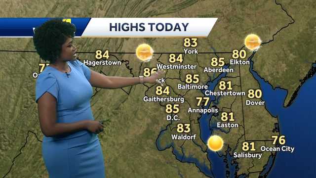 Sunny and mild for the end of the weekend 