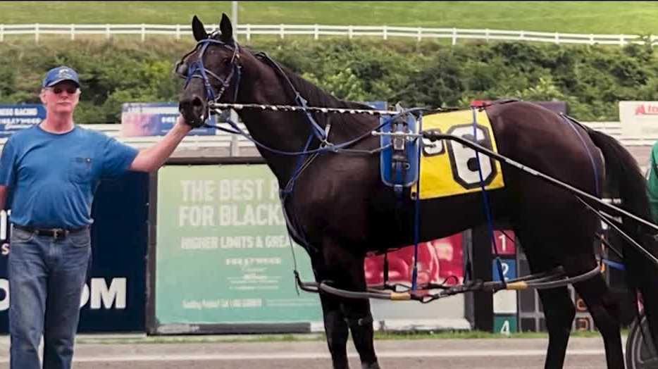 Harness racer killed honored at The Meadows in Washington County