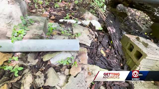 Broken sewer lines near Kansas City's Swope Park running to creek - Vimarsana News