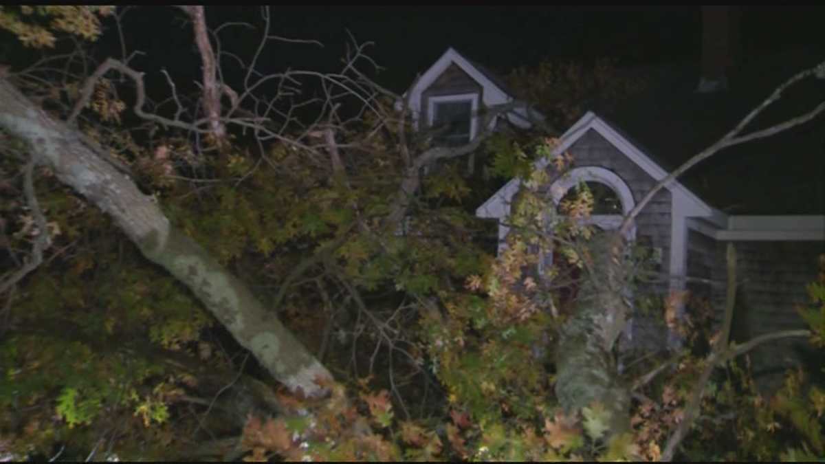Storm knocks out power, downs trees