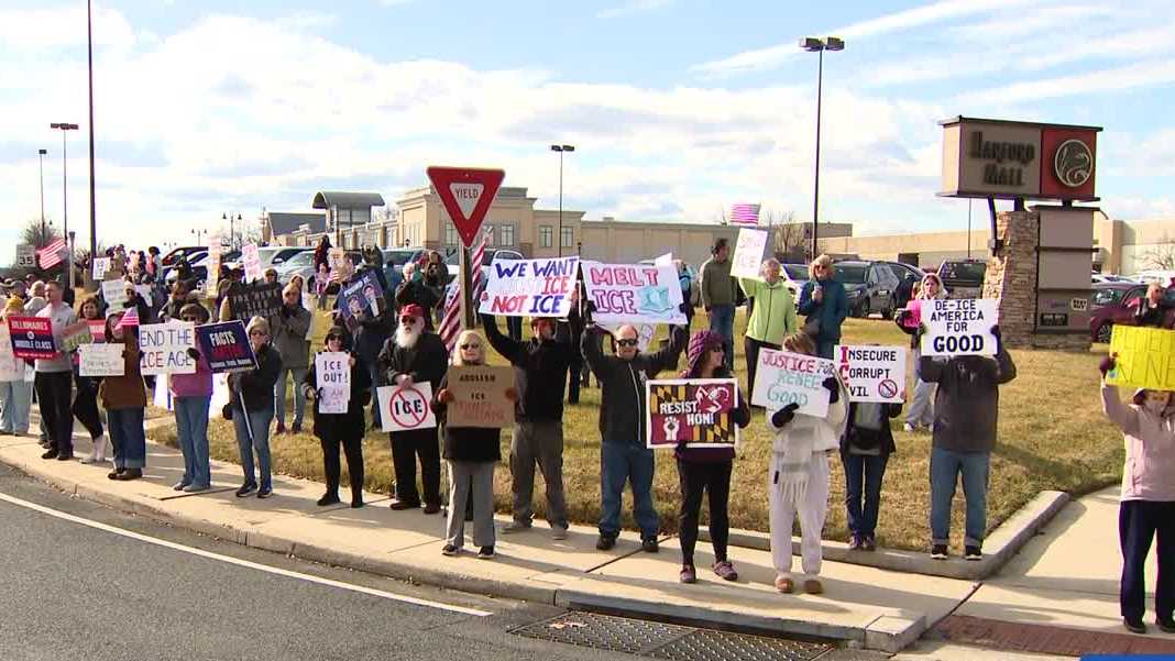 ICE enforcement arrests nearly tripled in Maryland in 2025, data shows