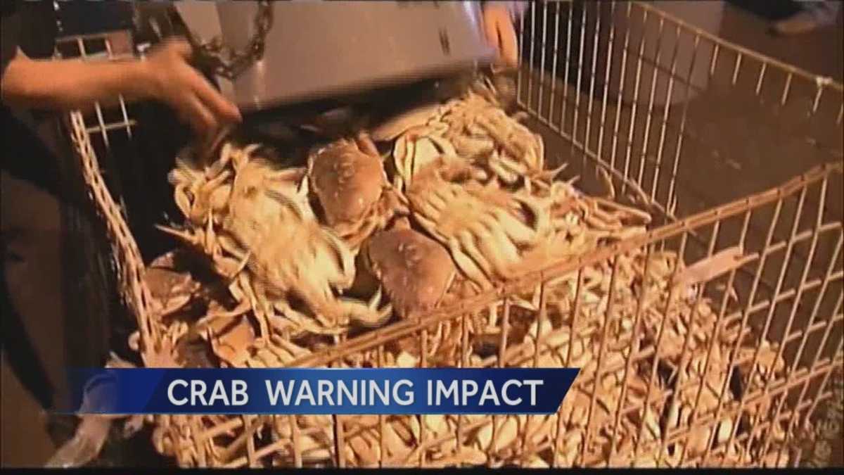 Toxic crab warning affecting seafood business