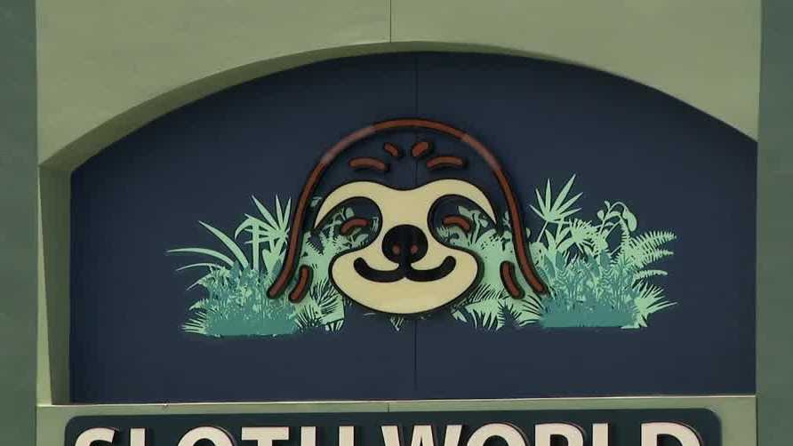 Sloth World closes permanently after wildlife officials uncover 31 sloth deaths