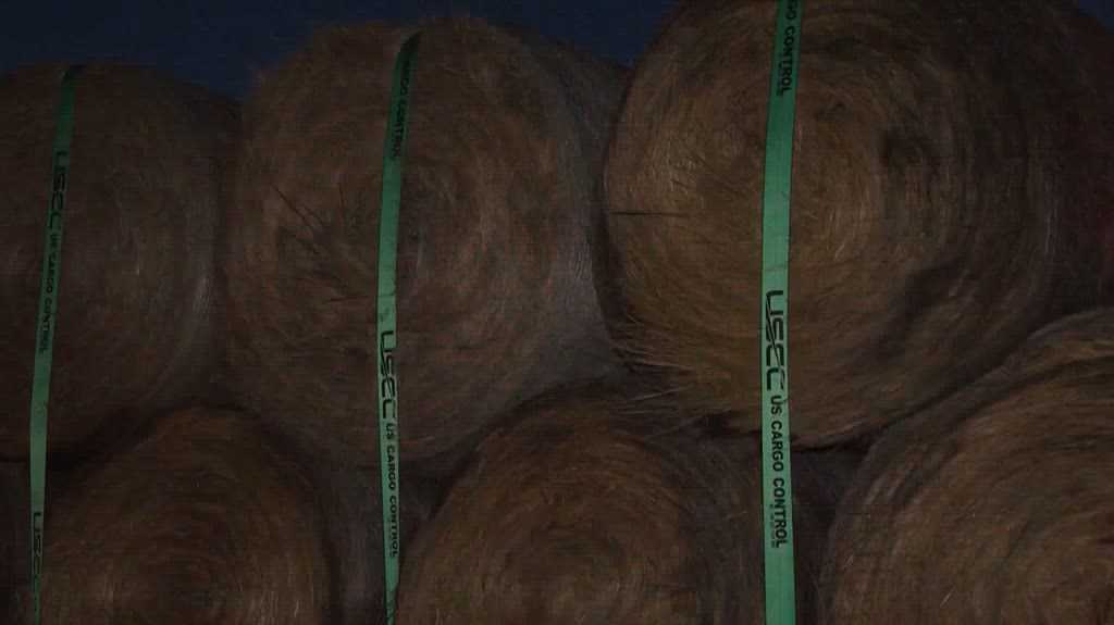 Iowa farmers donate hay and supplies to Nebraska ranchers after wildfires