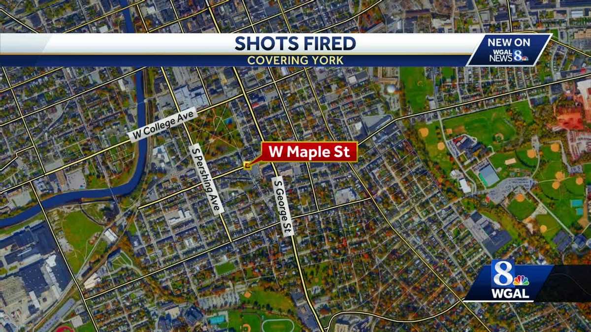 Police respond to shots fired call in York