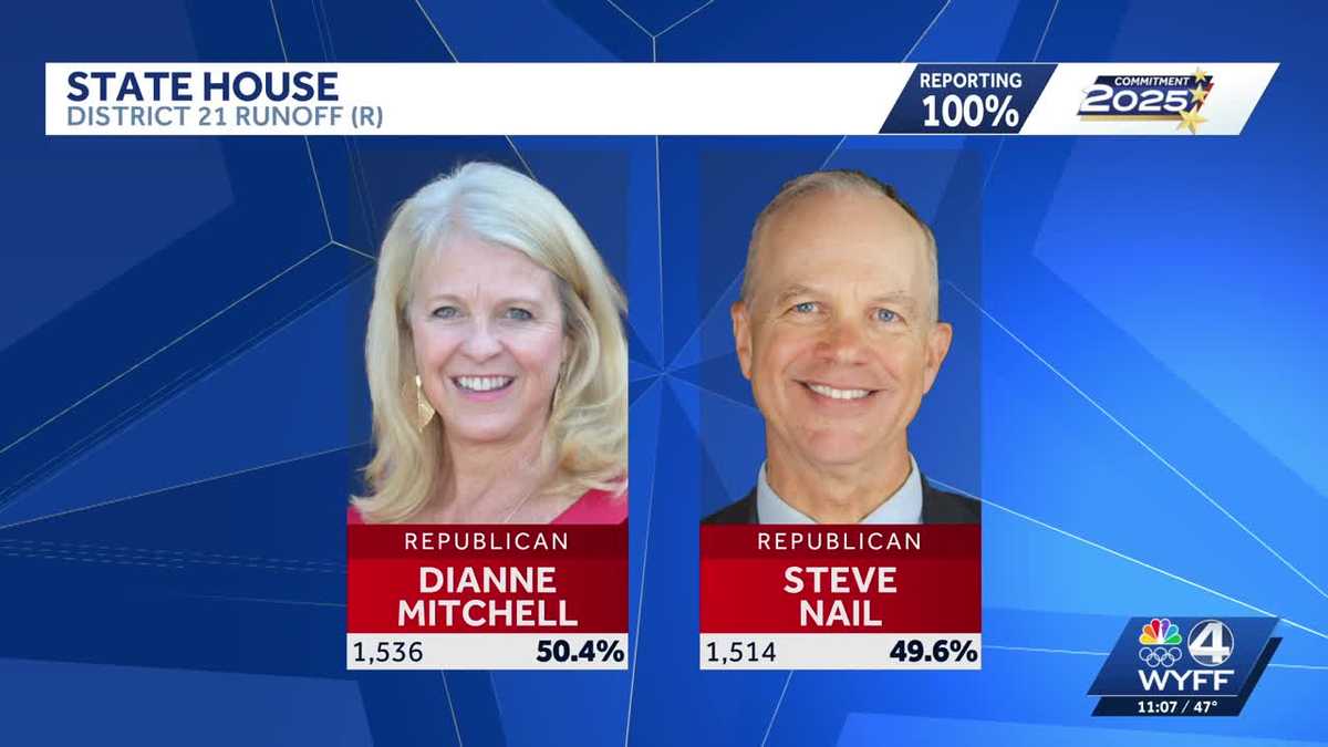 Dianne Mitchell leads SC House District 21 runoff, recount likely