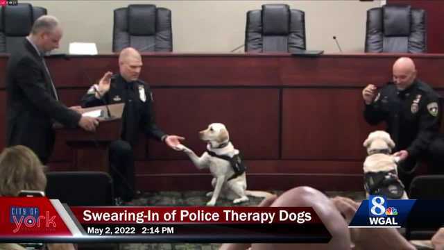 Dogs join police to aid officers and first responders - Vimarsana News