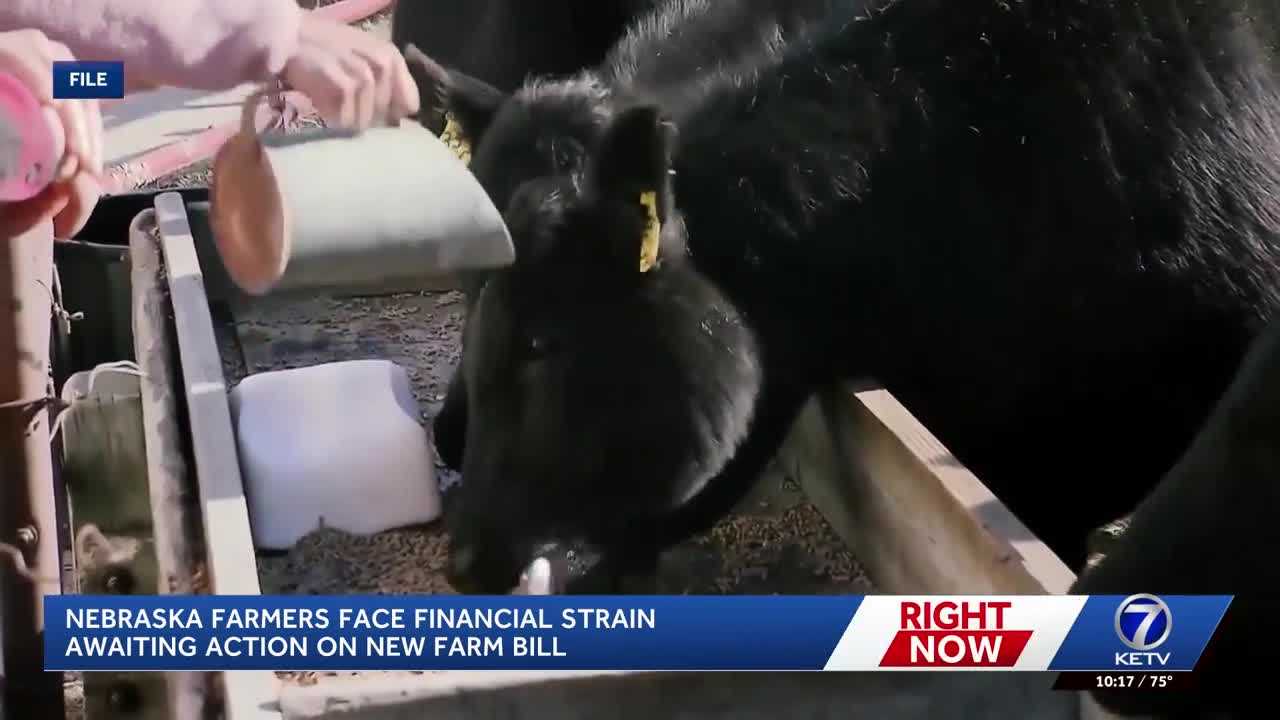 ketv.com - Marisa Nuñez - Nebraska Farmers face financial strain waiting for new Farm Bill