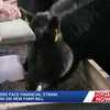 Many Nebraska farmers face financial strain waiting for new Farm Bill
