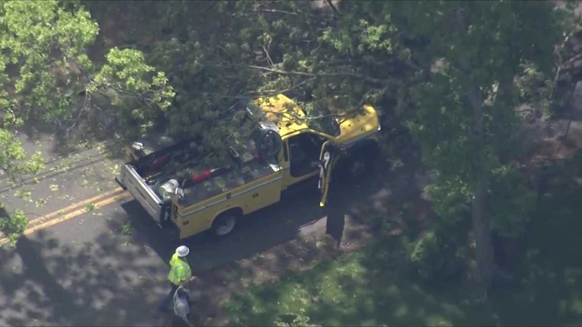Falling trees injure people in two Massachusetts towns in less than a day