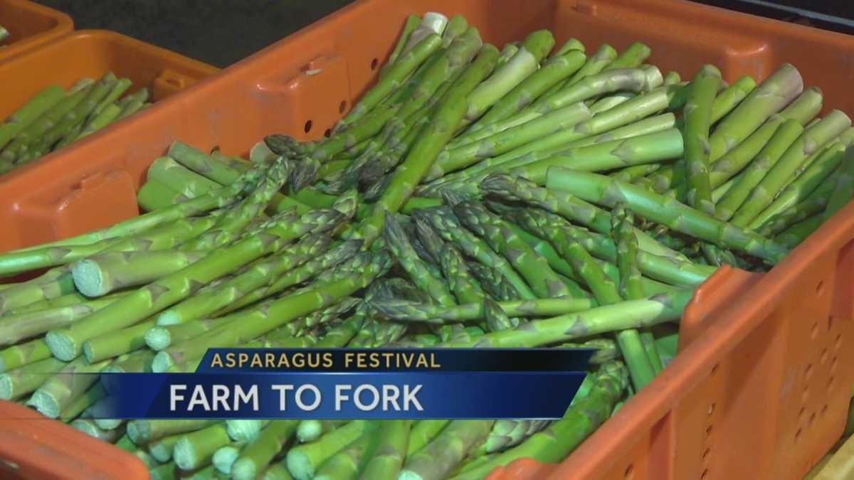 Asparagus chefs in Stockton learn how vegetable is cultivated