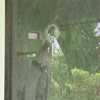 Collier County man says stray bullet hit his house through the backyard