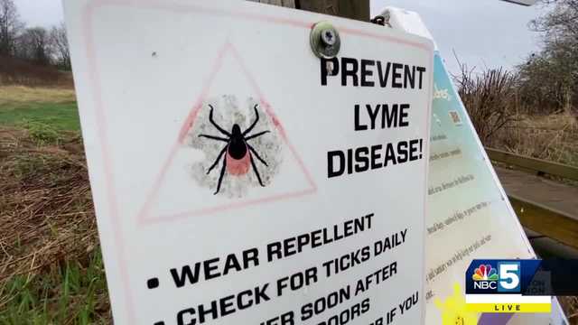 With ticks on the rise, health officials advise using tick prevention products for your pets - Vimarsana News