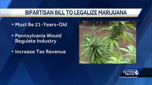Marijuana legalization gets first GOP sponsor in Pennsylvania - Vimarsana News