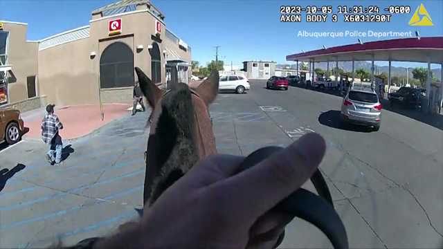Man backhands Albuquerque police horse - Vimarsana News