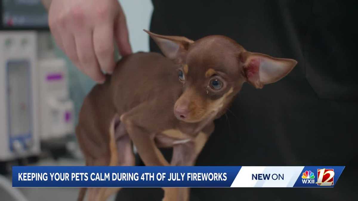 Triad veterinary hospital gives tips for pet owners ahead of Fourth of July fire...