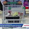 'Never knew I relied on food stamps so much': SNAP delays impact families across the state