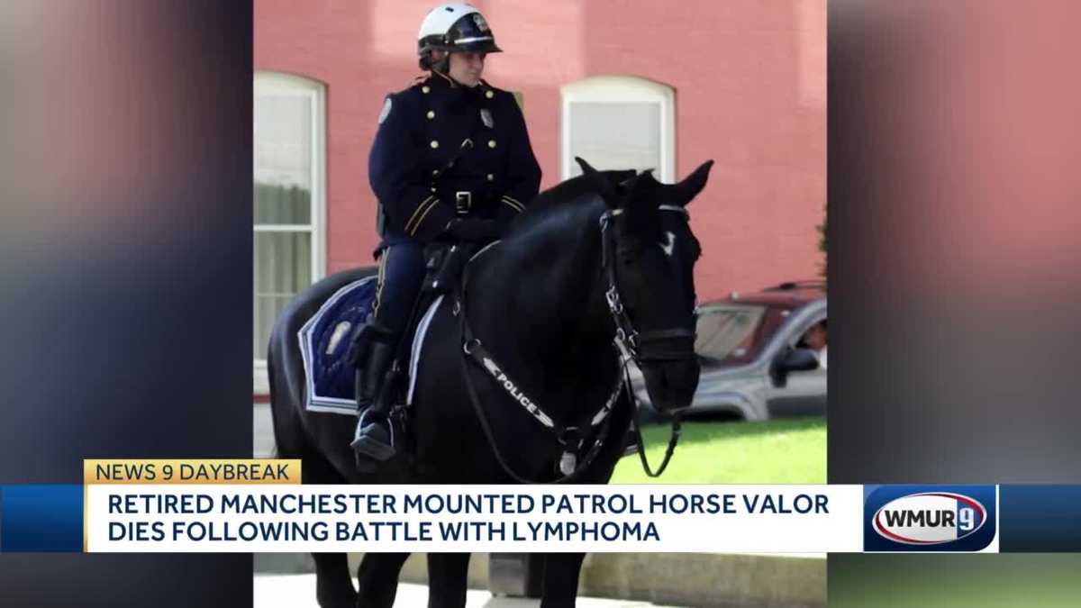 Retired Manchester Police mounted patrol horse dies
