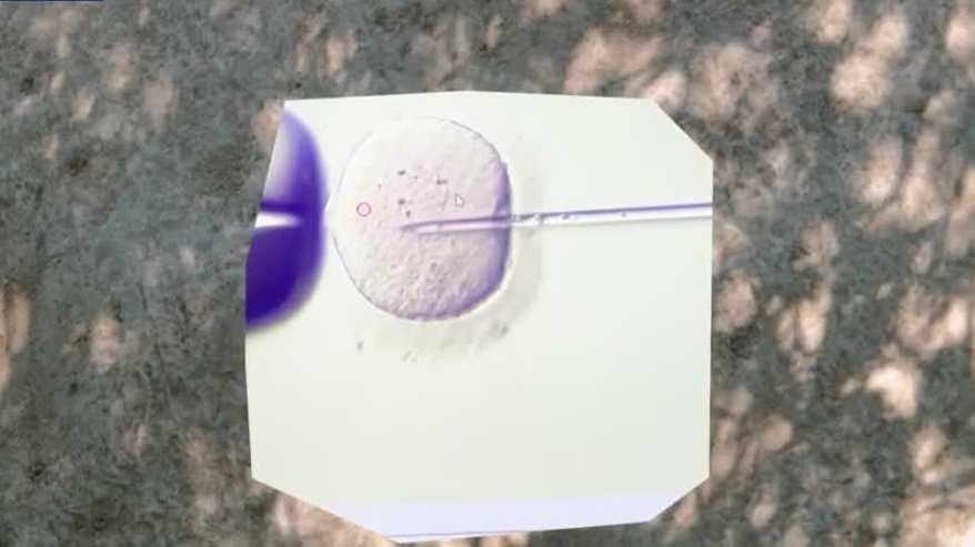 Documentary shines spotlight on Alabama’s IVF debate at Sidewalk Film Festival