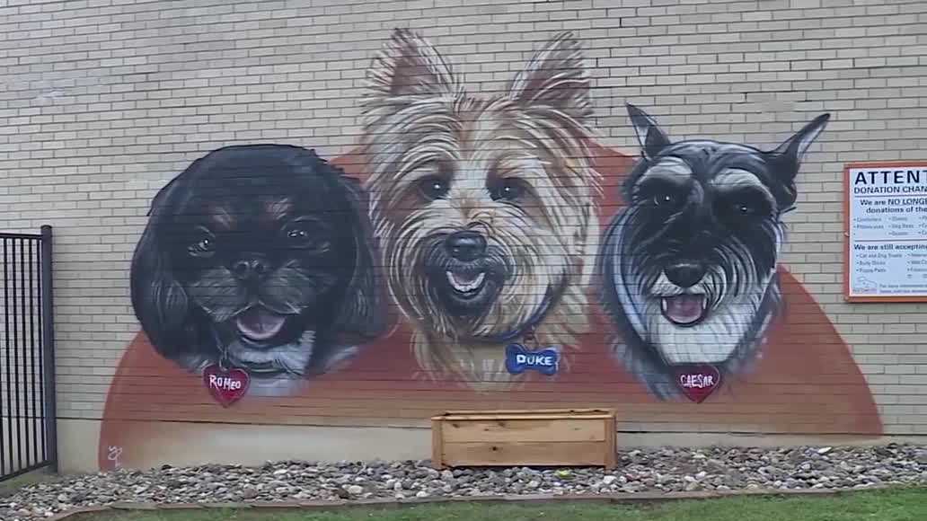 Great Plains SPCA honors beloved Kansas City pets in Best in Show contest