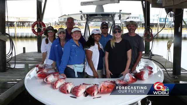 Louisiana Cocodrie artificial reef - Vimarsana News